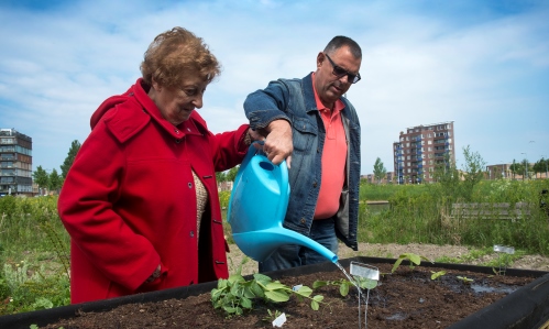 Man en vrouw aan het werk in de moestuin van Floriande