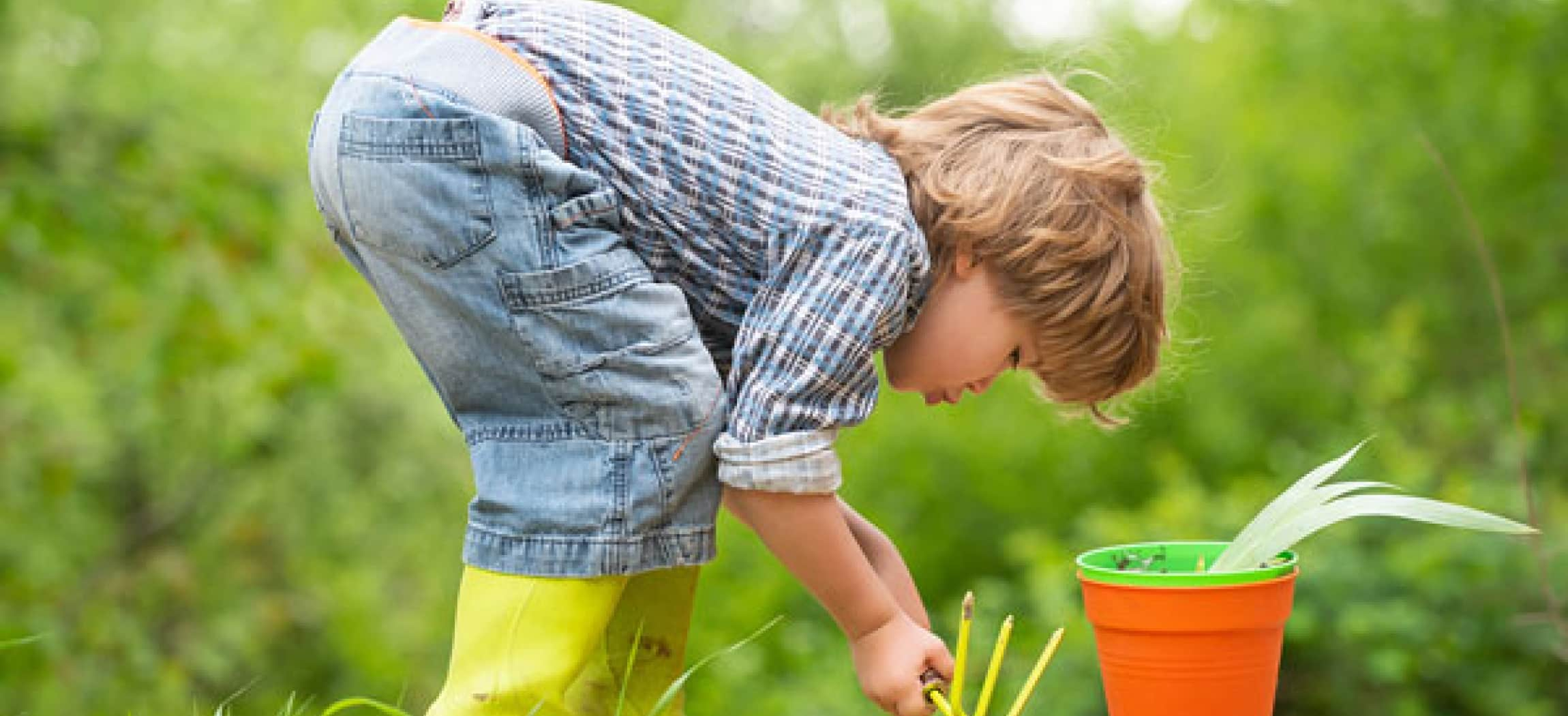 Afbeelding van Herhalingscursus EHBO bij Baby's en Kinderen