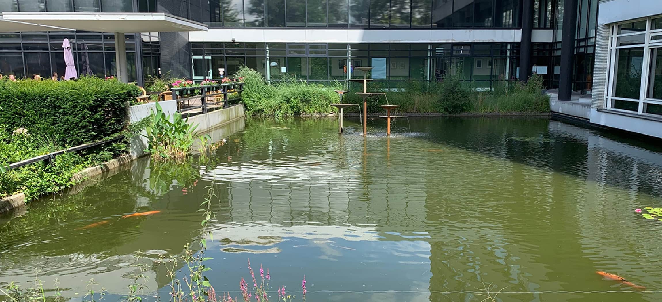 Afbeelding van Alternatieve Botenparade Amsterdam in grote vijver Vreugdehof